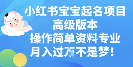 小红书宝宝起名项目高级版本,操作简单,资料专业,月入过W_码库网赚
