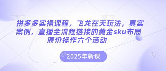 拼多多实操课程,飞龙在天玩法,真实案例,直播全流程链接的黄金sku布局原价操作六个活动_码库网赚