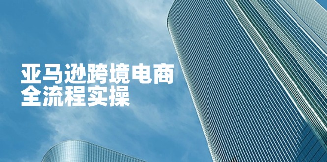 （14252期）亚马逊跨境电商全流程实操，教你从零开始，掌握店铺运营与广告技巧_码库网赚