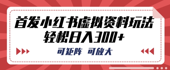 首发小红书虚拟资料玩法，可矩阵，可放大，轻松日入3张_码库网赚