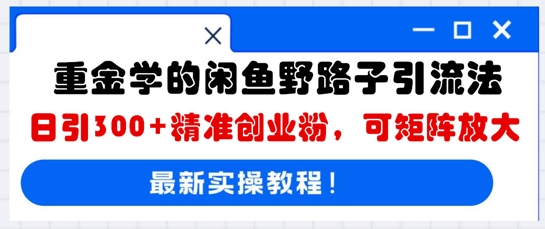 重金学的闲鱼野路子引流法，日引300+精准创业粉，可矩阵放大_码库网赚