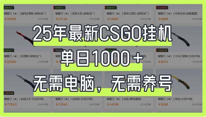 （14178期）25年最新CSGO挂机系统，单日1000+，无需电脑，无需养号，0基础可上手_码库网赚