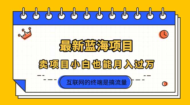 （14289期）2025年最新蓝海项目，卖项目小白也能月入过万_码库网赚
