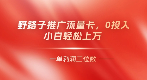 0门槛推广流量卡，一单收益上百，0投入，小白月入过W_码库网赚