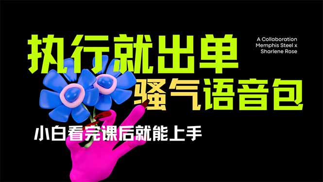 (14170期)爆火全网的开车导航骚气语音包,只要执行就出单,小白看完课程就能实操..._码库网赚