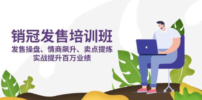 （14203期）销冠 发售培训班：发售 操盘+情商 飙升+卖点 提炼，实战提升百万业绩_码库网赚