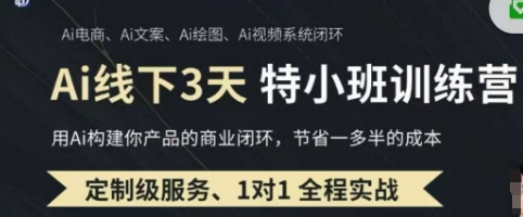 AI实操培训第20-21期线下，0基础保姆级教程，3月最新整理，企业获客、降本增效、打造超级个体_码库网赚