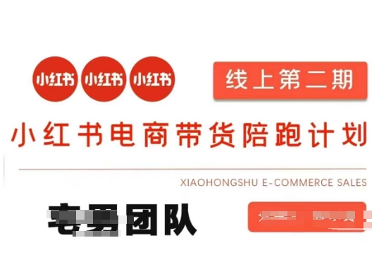 小红书电商带货课2期，月利润20个的小红书电商的有货源，无货源，虚拟产品，付费投流等整套玩法_码库网赚